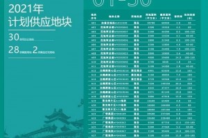 广船用这2公里江岸黄金线，翻出了多少西翼发展新花样？