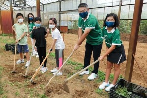 恒隆全国性周年义工日 推动低碳环保生活 传递爱与关怀